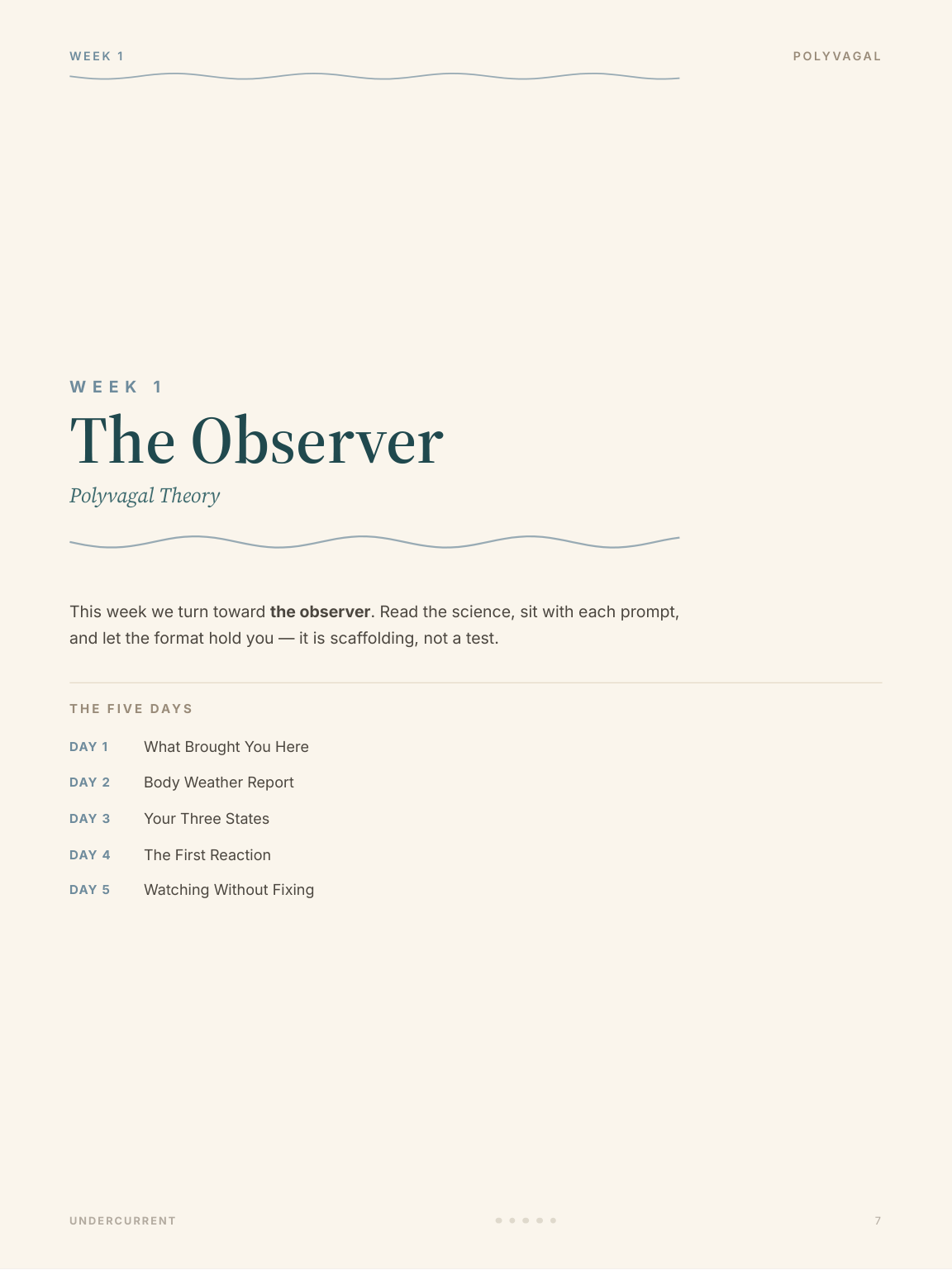 Week 1 opener — The Observer
