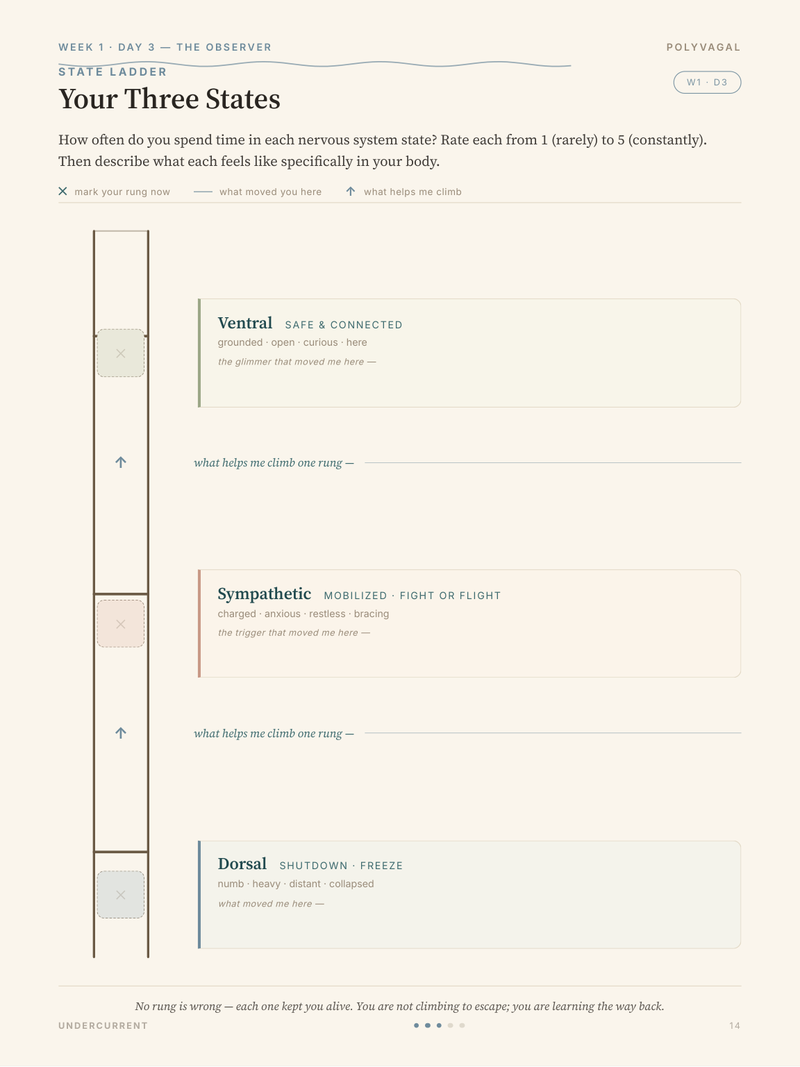 The Autonomic Ladder format