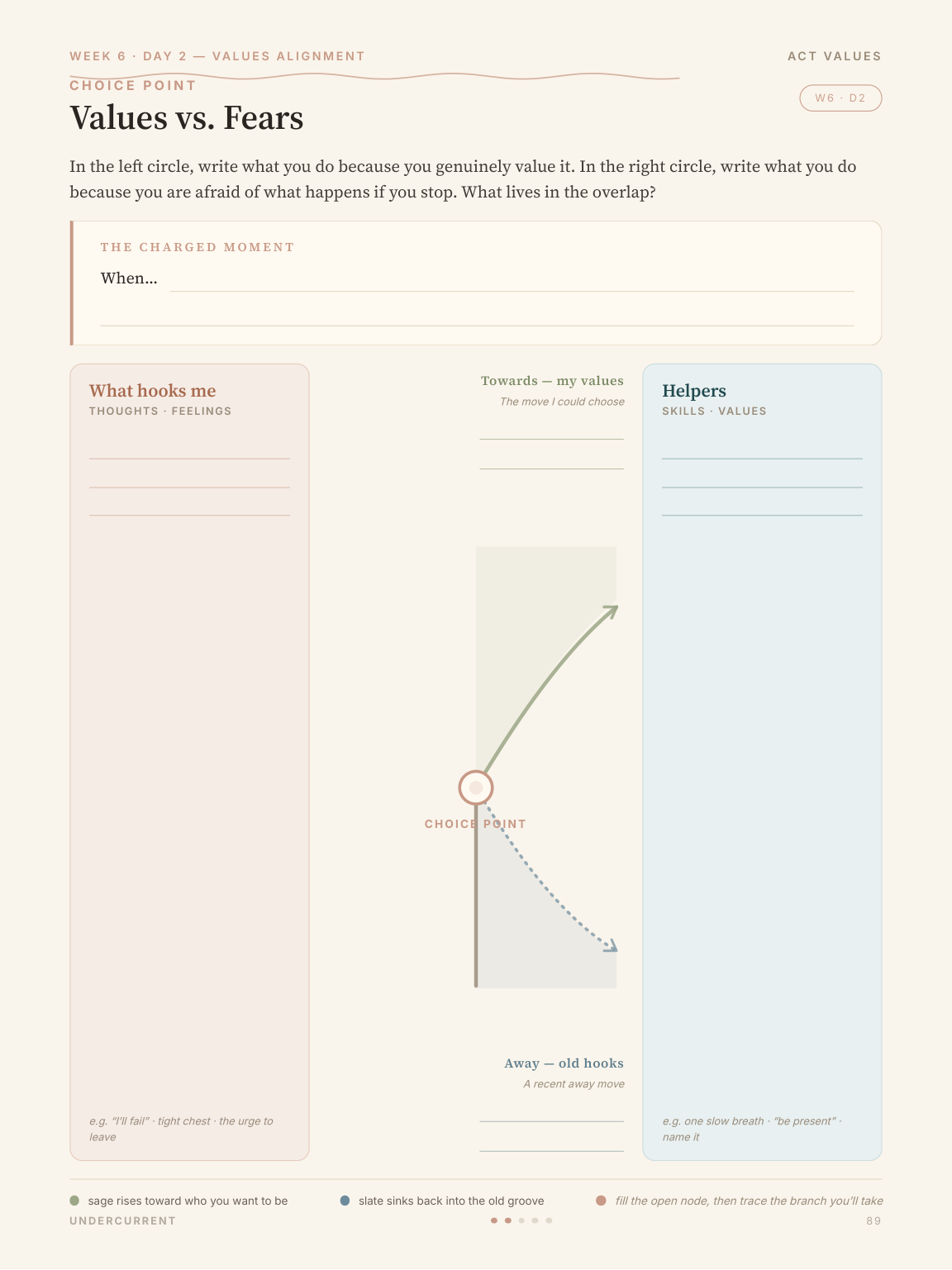 The Fork choice-point format
